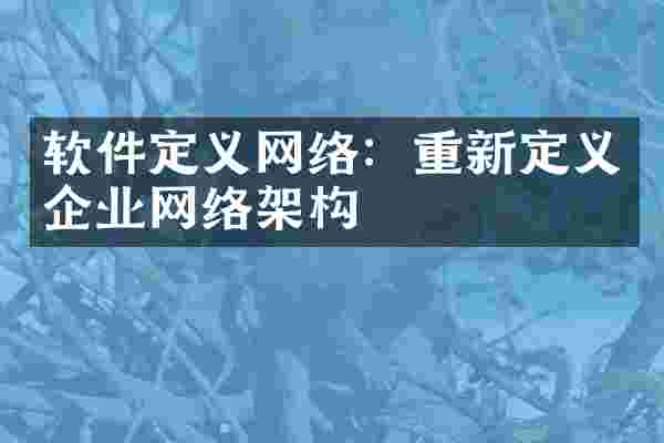 软件定义网络：重新定义企业网络架构