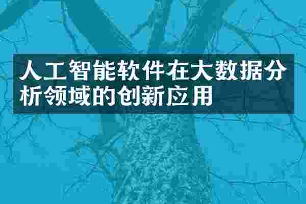 人工智能软件在大数据分析领域的创新应用