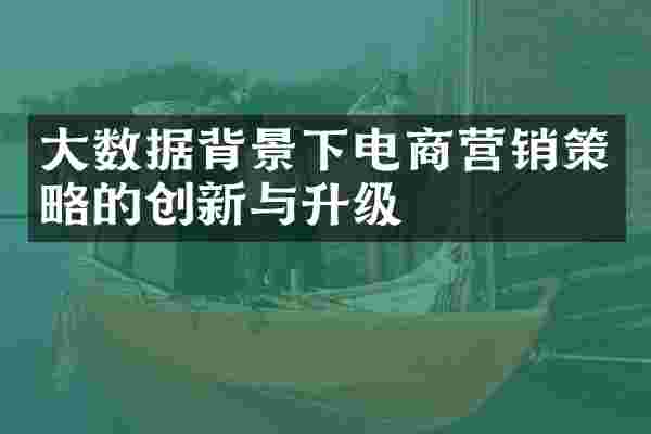 大数据背景下电商营销策略的创新与升级