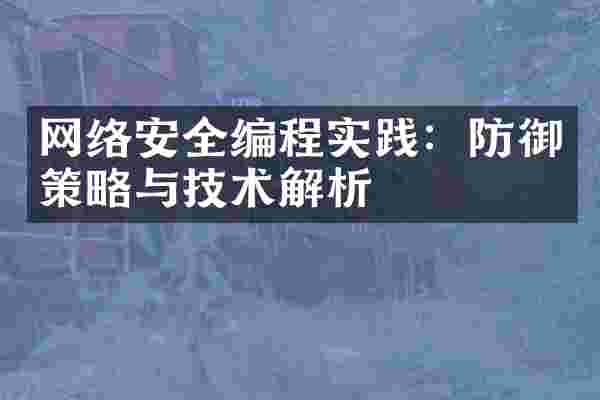 网络安全编程实践：防御策略与技术解析