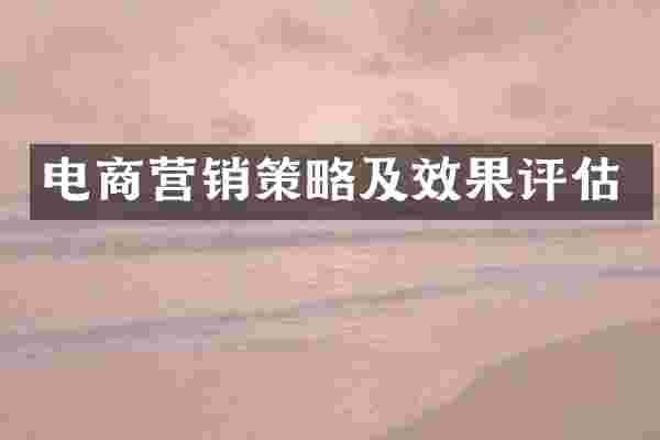 电商营销策略及效果评估