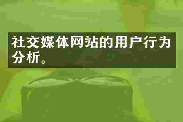 社交媒体网站的用户行为分析。