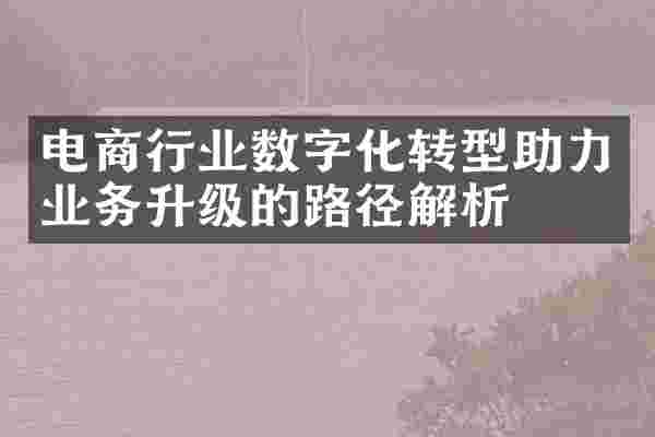电商行业数字化转型助力业务升级的路径解析