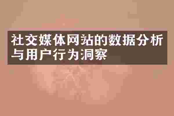 社交媒体网站的数据分析与用户行为洞察