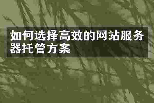 如何选择高效的网站服务器托管方案