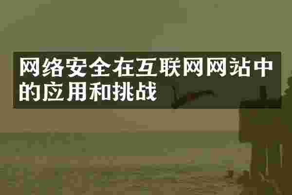 网络安全在互联网网站中的应用和挑战