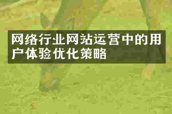 网络行业网站运营中的用户体验优化策略