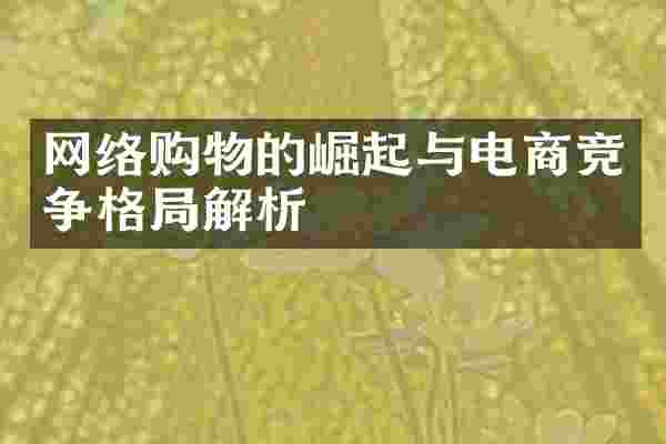网络购物的崛起与电商竞争格局解析