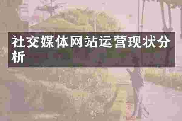社交媒体网站运营现状分析