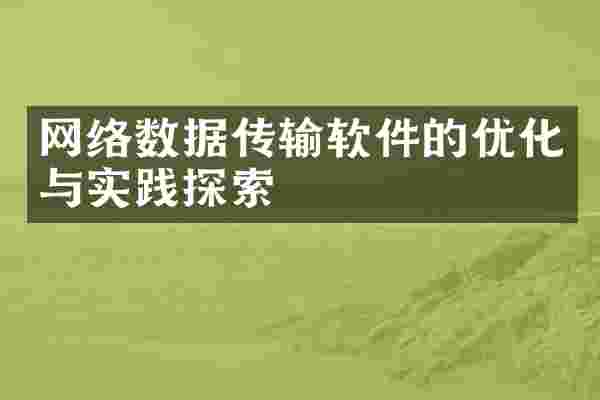 网络数据传输软件的优化与实践探索
