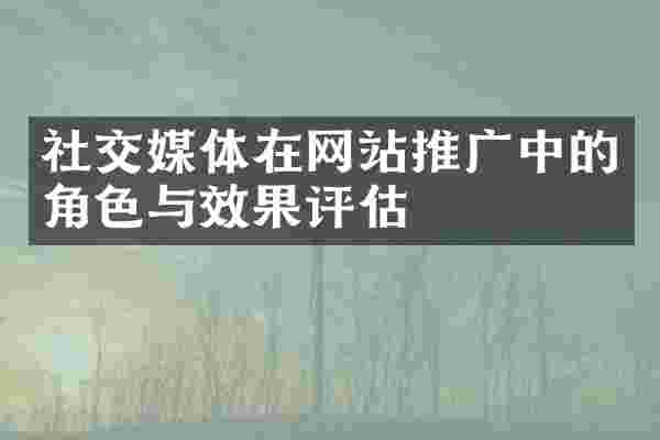 社交媒体在网站推广中的角色与效果评估