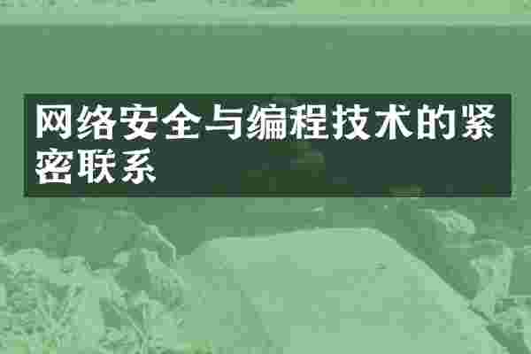 网络安全与编程技术的紧密联系
