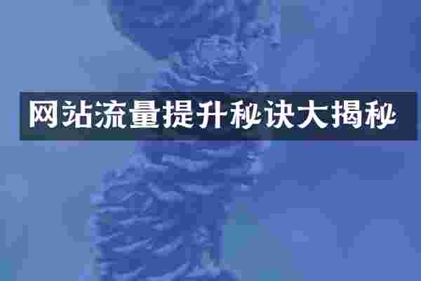 网站流量提升秘诀大揭秘