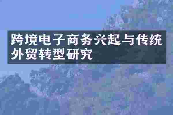 跨境电子商务兴起与传统外贸转型研究