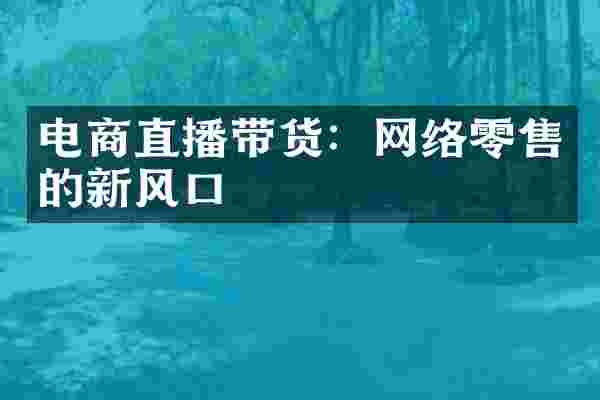 电商直播带货：网络零售的新风口