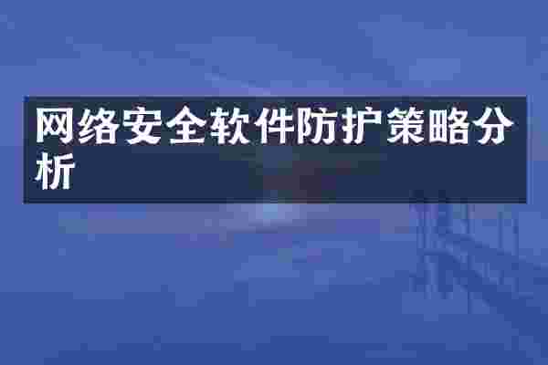 网络安全软件防护策略分析