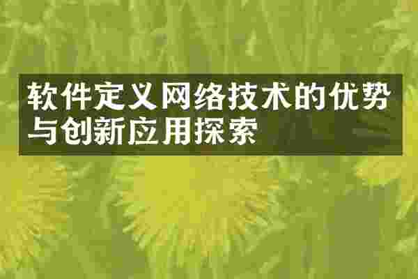 软件定义网络技术的优势与创新应用探索