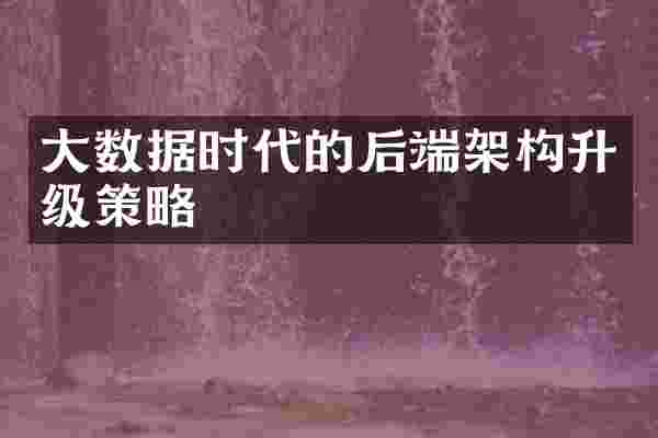 大数据时代的后端架构升级策略