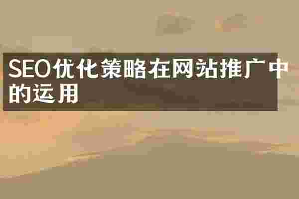 SEO优化策略在网站推广中的运用