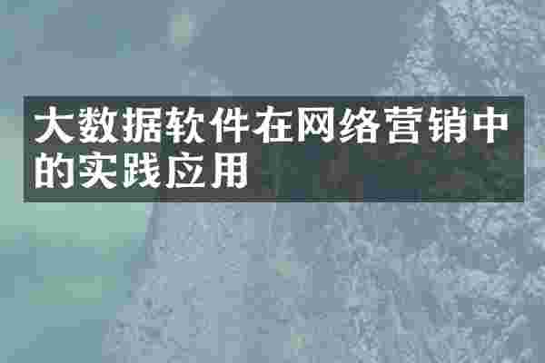 大数据软件在网络营销中的实践应用