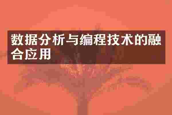 数据分析与编程技术的融合应用
