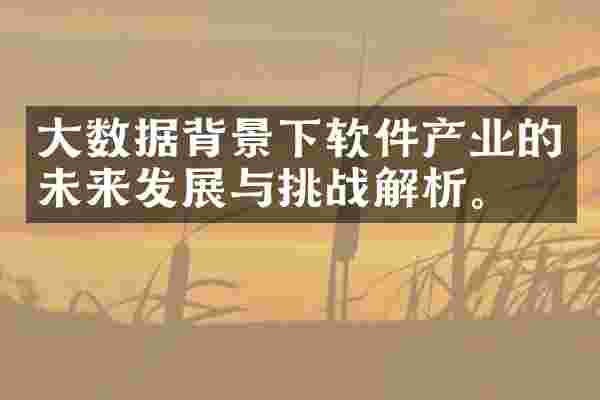 大数据背景下软件产业的未来发展与挑战解析。