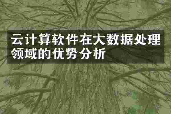 云计算软件在大数据处理领域的优势分析