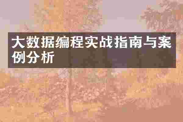 大数据编程实战指南与案例分析