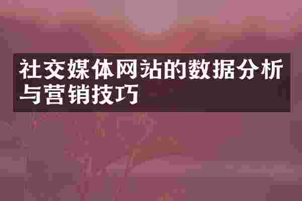 社交媒体网站的数据分析与营销技巧