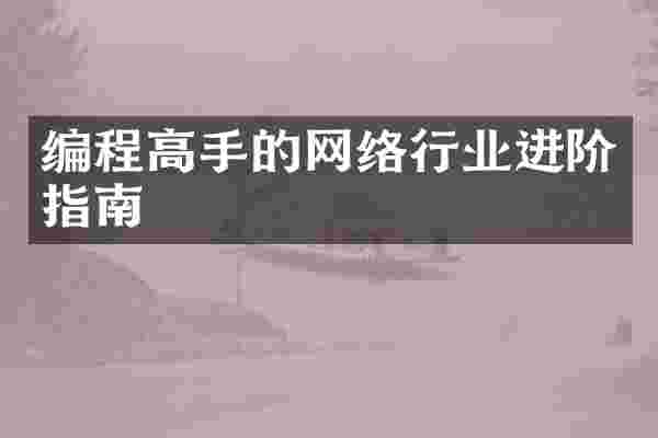 编程高手的网络行业进阶指南