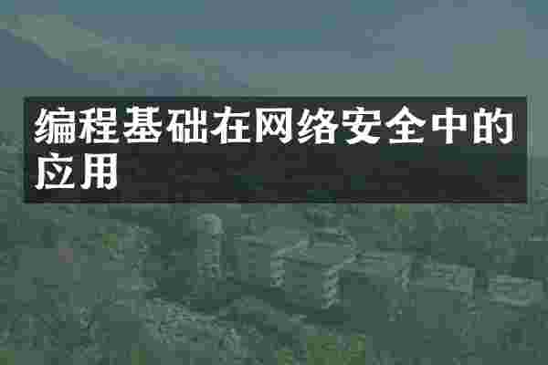 编程基础在网络安全中的应用