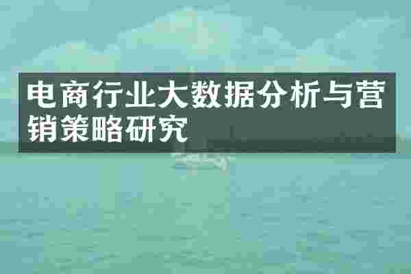 电商行业大数据分析与营销策略研究