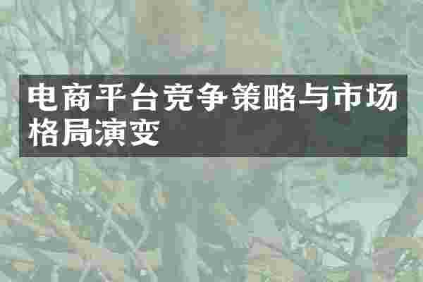 电商平台竞争策略与市场格局演变