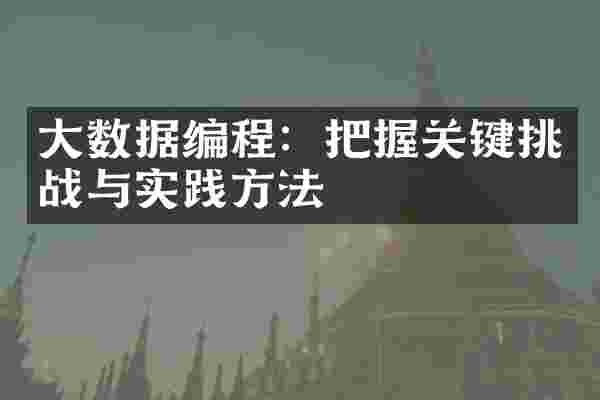大数据编程：把握关键挑战与实践方法