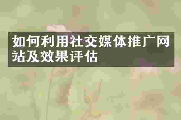如何利用社交媒体推广网站及效果评估