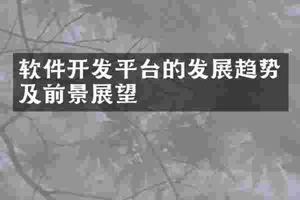 软件开发平台的发展趋势及前景展望