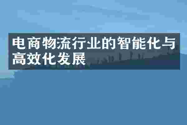 电商物流行业的智能化与高效化发展