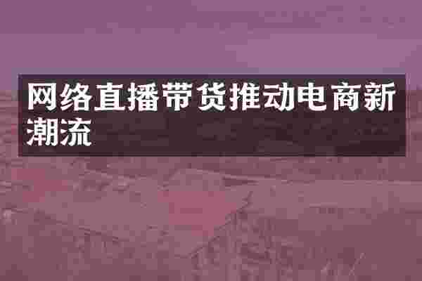 网络直播带货推动电商新潮流