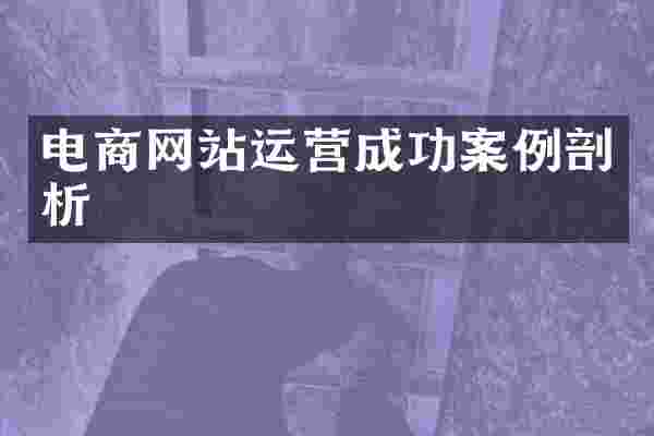 电商网站运营成功案例剖析