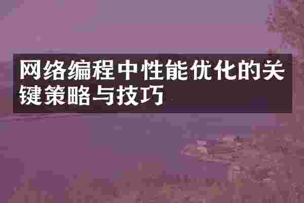 网络编程中性能优化的关键策略与技巧