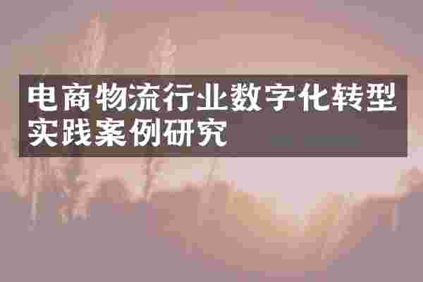 电商物流行业数字化转型实践案例研究