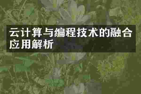 云计算与编程技术的融合应用解析
