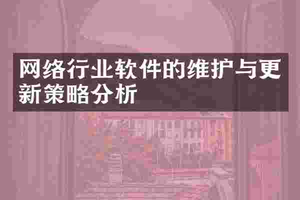 网络行业软件的维护与更新策略分析