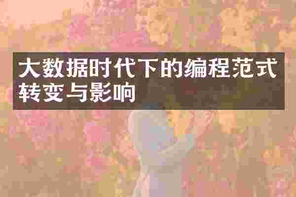大数据时代下的编程范式转变与影响