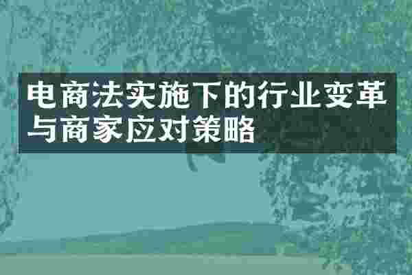 电商法实施下的行业变革与商家应对策略