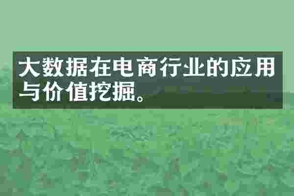 大数据在电商行业的应用与价值挖掘。