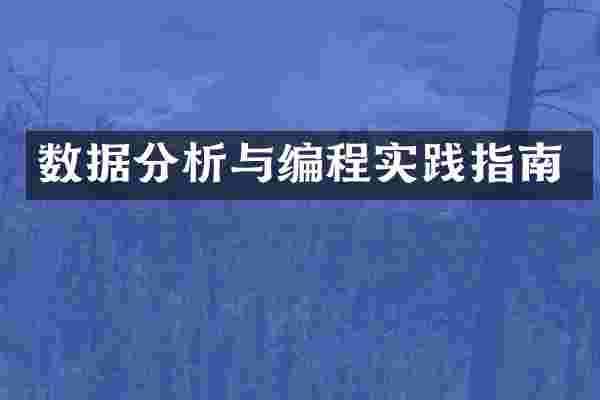 数据分析与编程实践指南