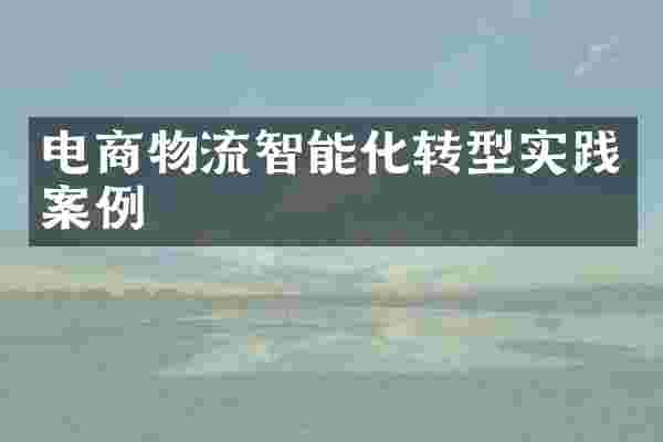 电商物流智能化转型实践案例