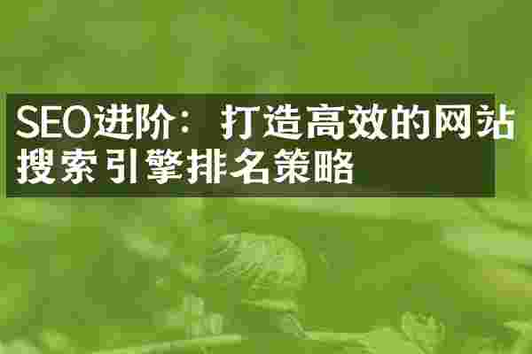 SEO进阶：打造高效的网站搜索引擎排名策略