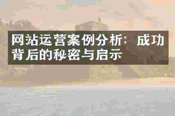 网站运营案例分析：成功背后的秘密与启示